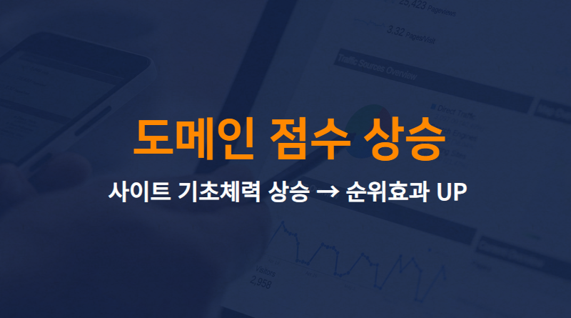 도메인 점수 상승 썸네일